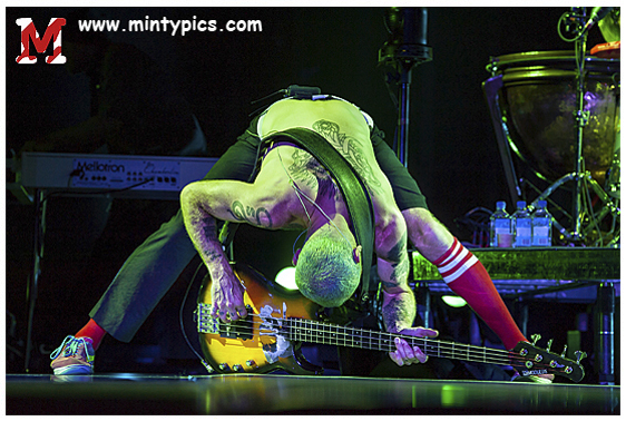 Red Hot Chili Peppers